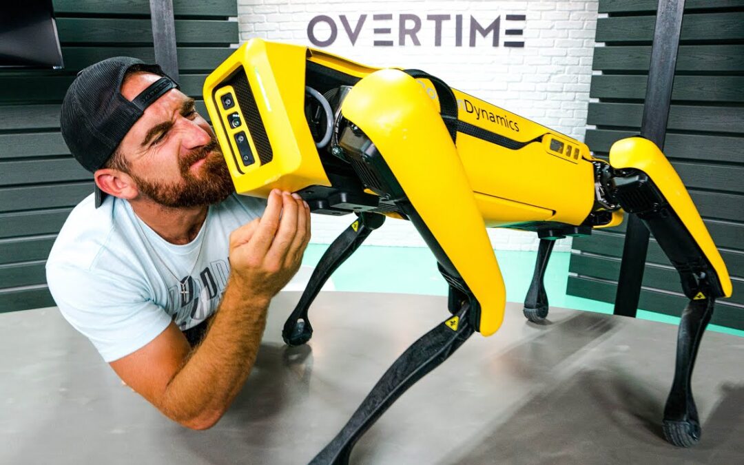Real Life Robot Dog | OT 17