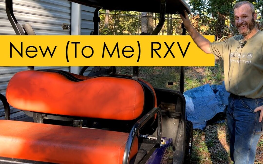 My EZ-GO RXV Golf Cart. How Bad is it?